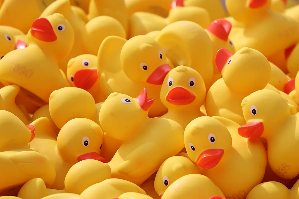 Patitos de hule