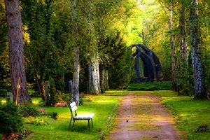 Un bosque, con un camino en el centro en el que hay una banca y al final una escultura.