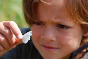 Niño con una mariposa blanca entre los dedos.