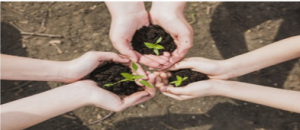 3 pares de manos que sosteniendo cada uno un puñado de tierra, del que emerge una pequeña planta