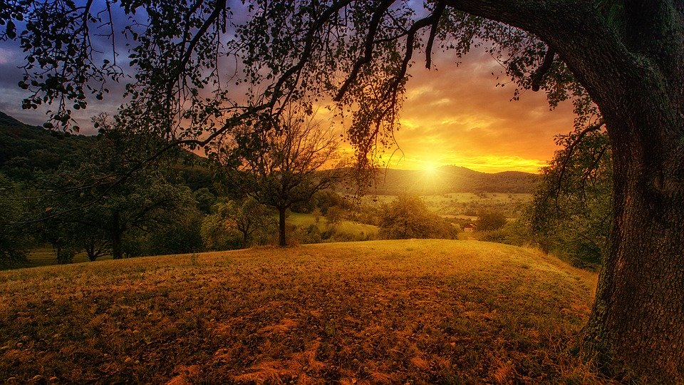 Paisaje de una puesta de sol tras unas montañas en el campo, entre árboles.